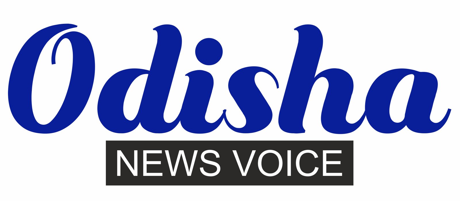 ODISHA NEWS VOICE (DIGITAL NEWSPAPER)